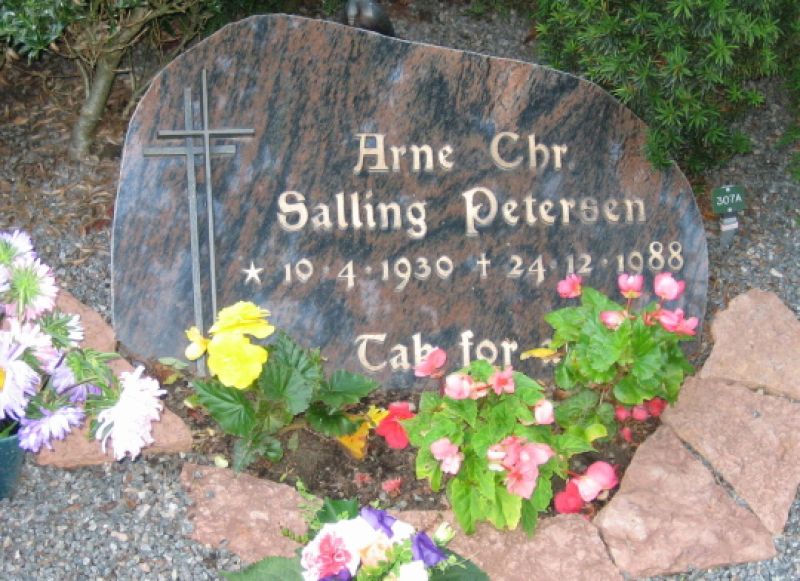 Arne C. S. Petersen.jpg